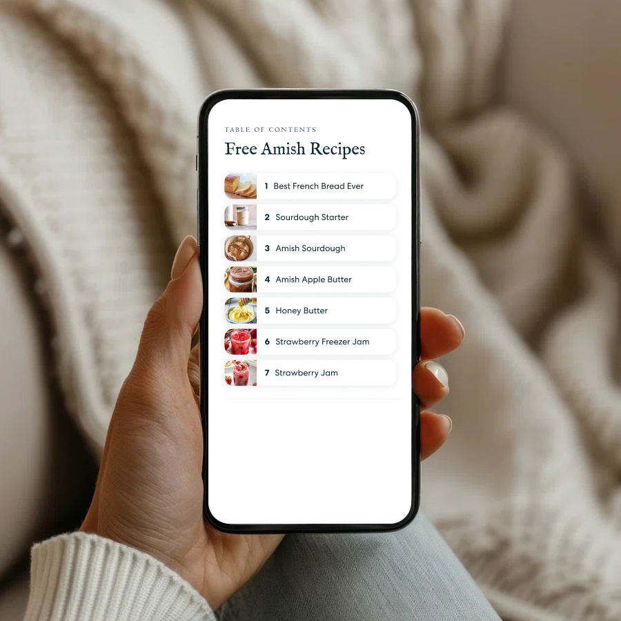 5+ Frugal Recipe Sampler - Digital Cookbook (PDF)